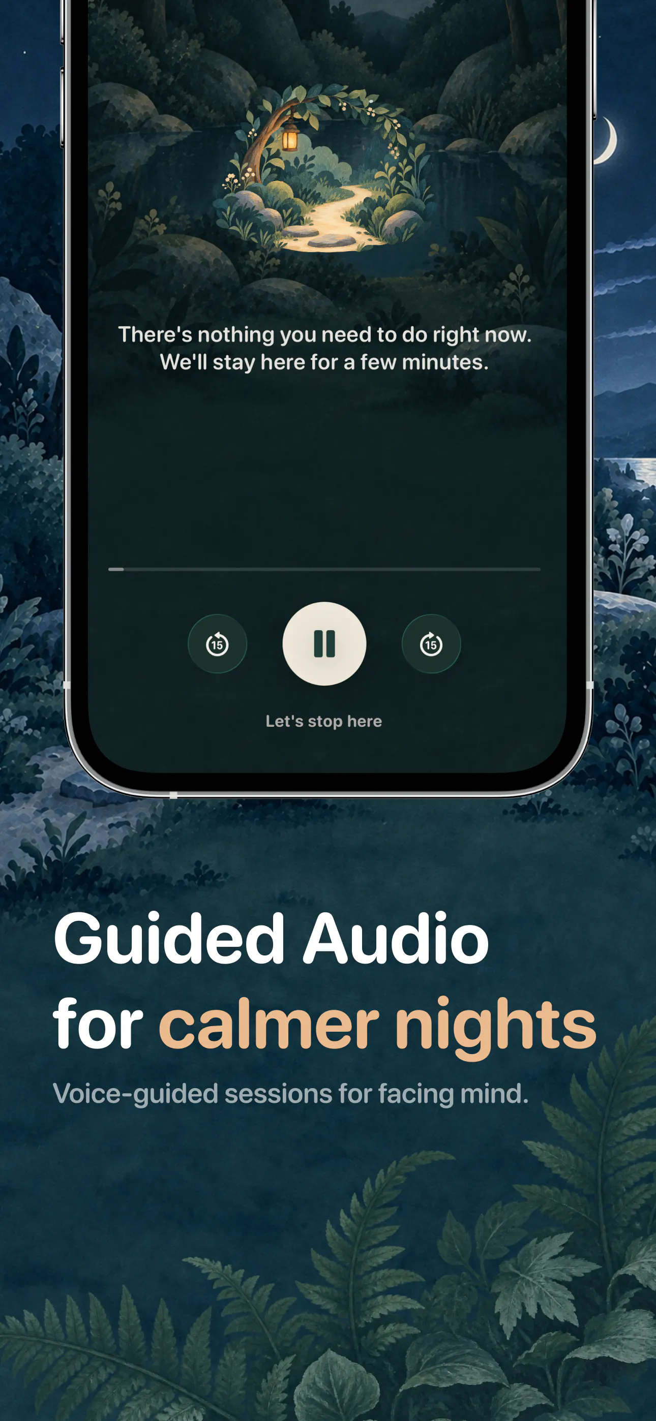 Patika: Guided Meditation Plan gallery image