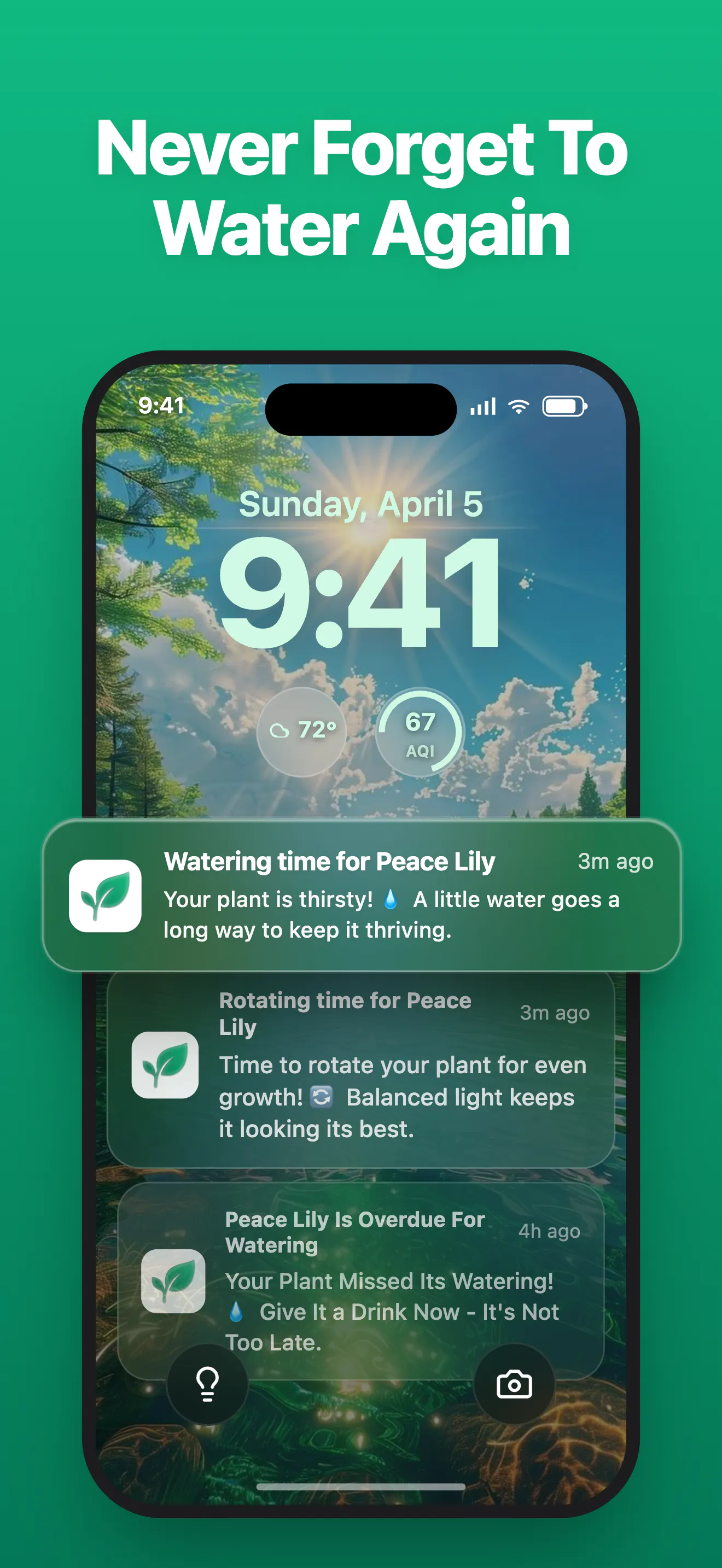 LivePlant : Plant Identifier gallery image