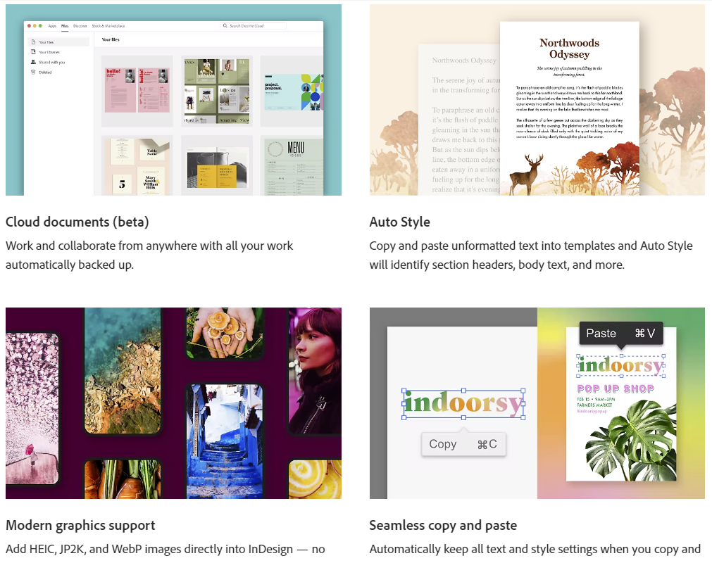 Adobe InDesign gallery image