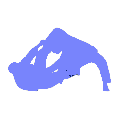 Dailyjitsu