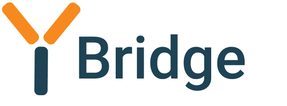 Bridge gallery image