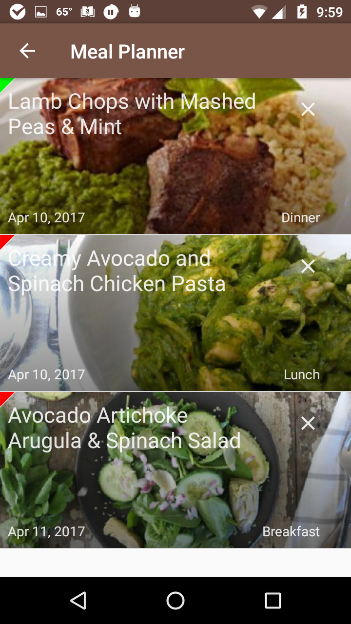 Paleo Diet CookBook gallery image