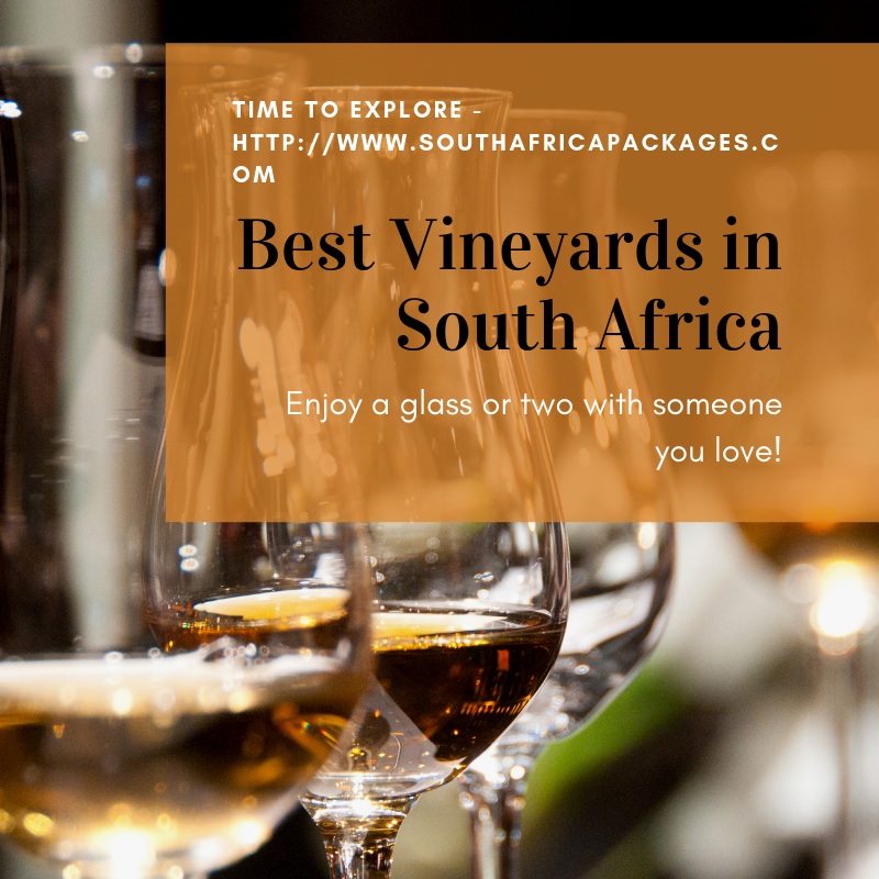 Best vineyards in south africa