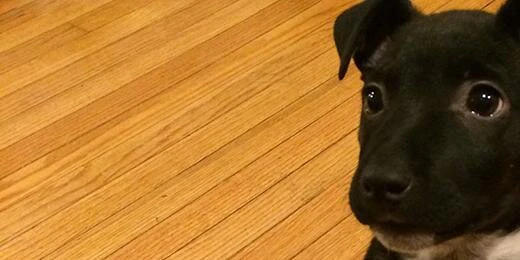 Nicholas Hilem cover