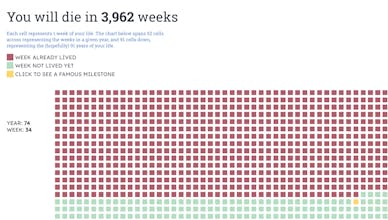 You Will Die in X Weeks 2.0 gallery image