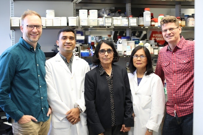 Lokena gallery image