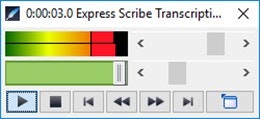 Software de transcripción expresa de escribas media 2