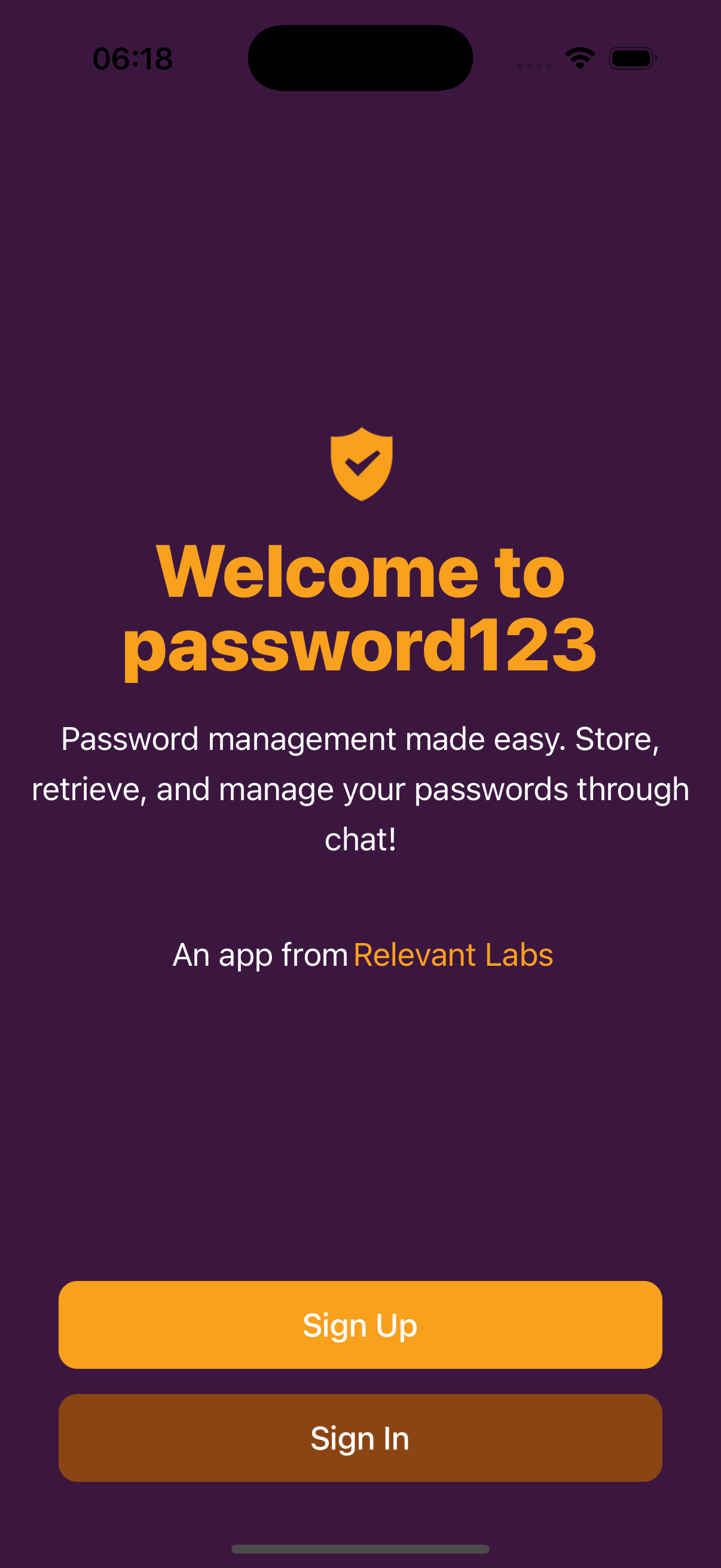 password123 - Main screenshot showing features and interface