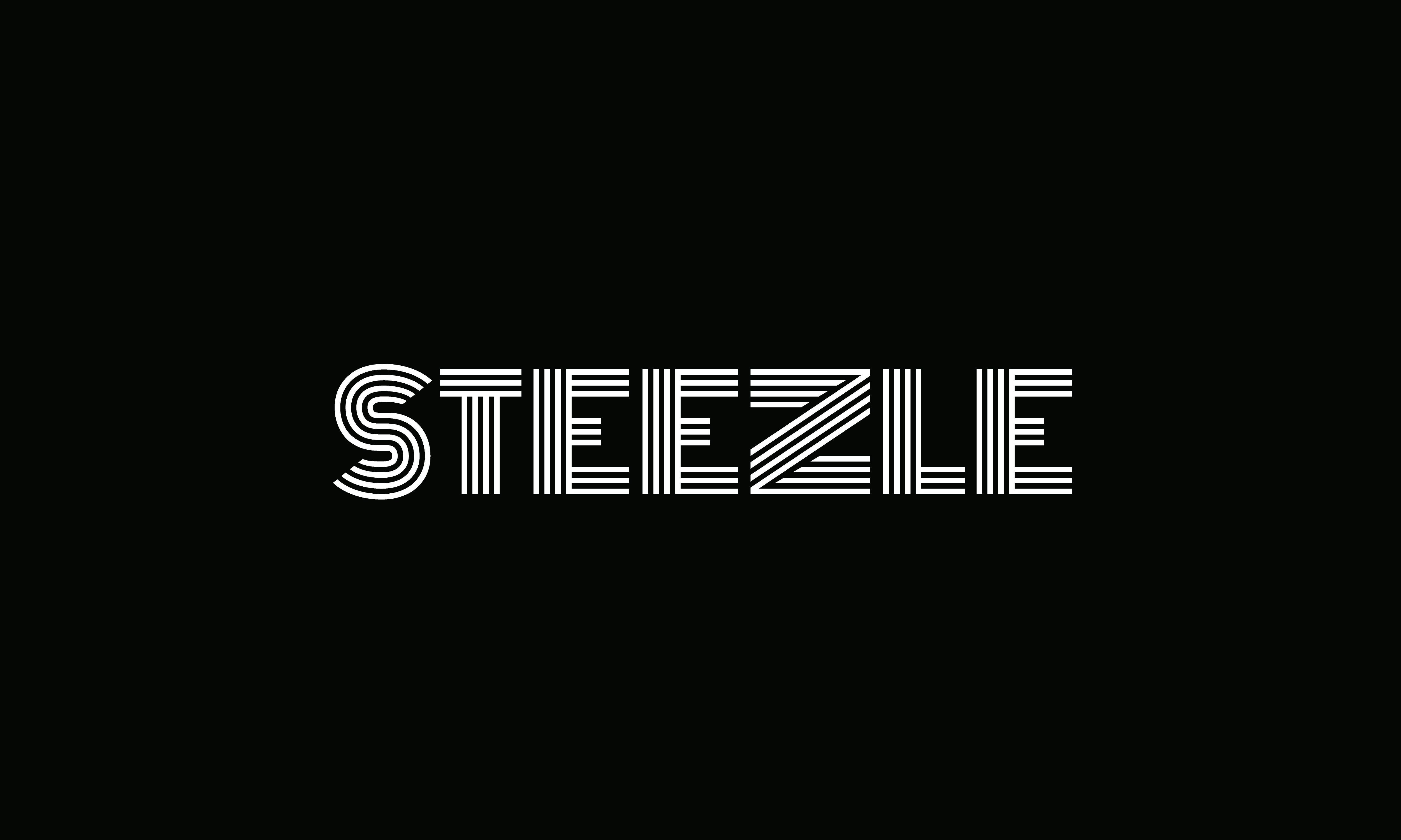 Steezle gallery image
