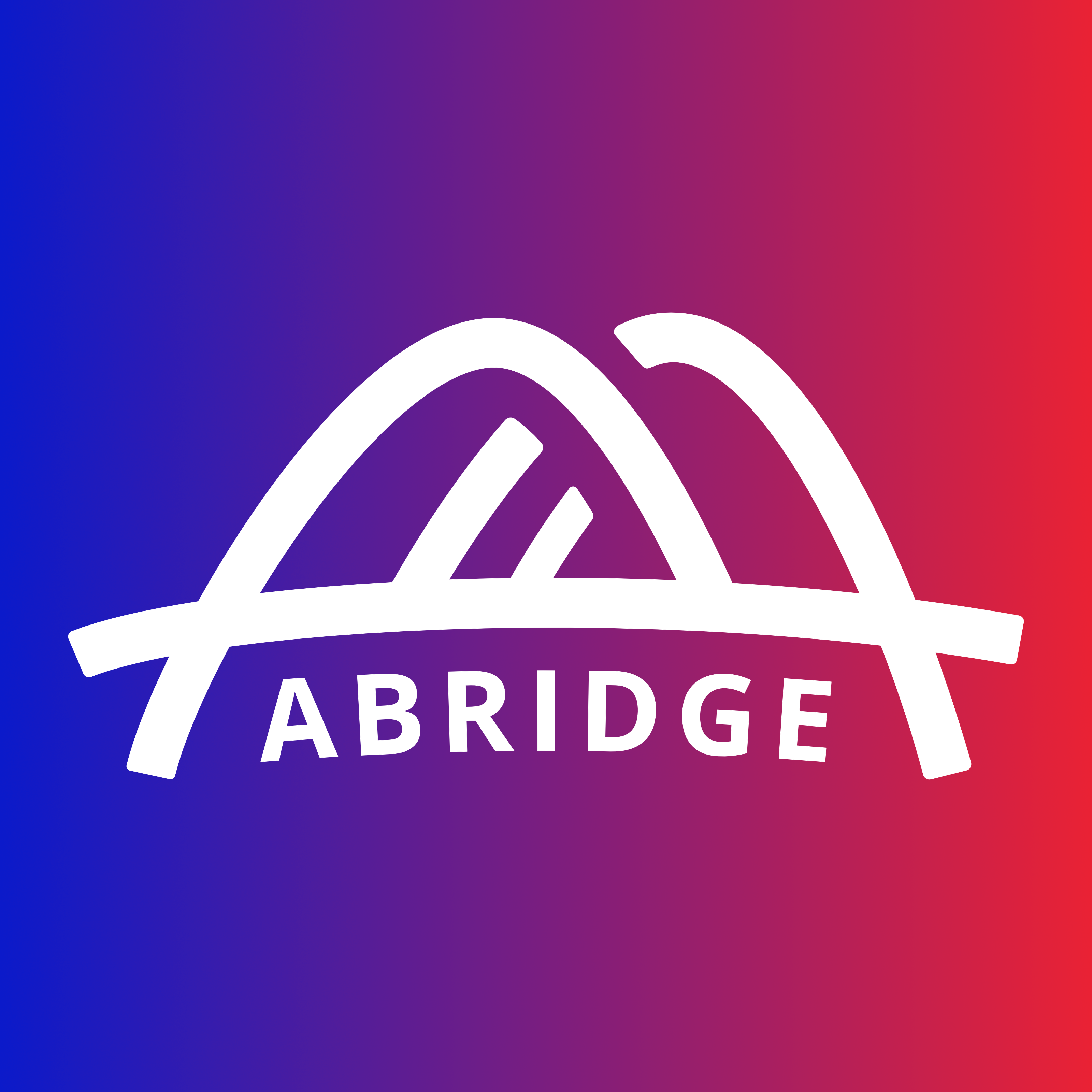 Abridge News Guide to the 2018 Elections gallery image