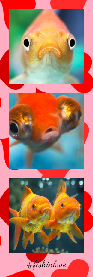 Snappy gallery image