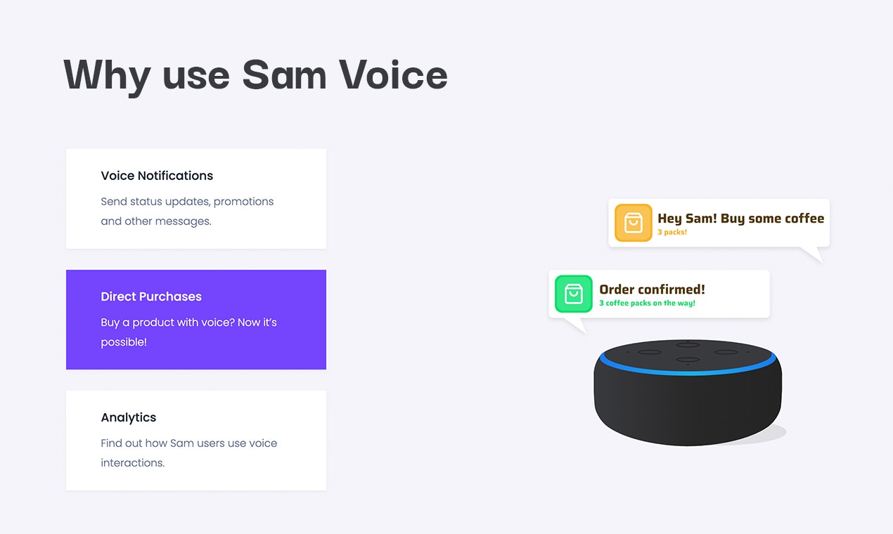 Sam Voice gallery image
