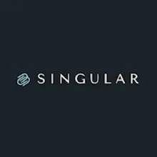 Singular Global gallery image