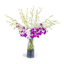 Snapblooms gallery image