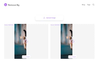 Remove Bg gallery image