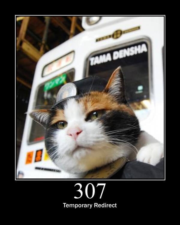 HTTP Status Cats API gallery image