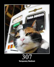 HTTP Status Cats API gallery image