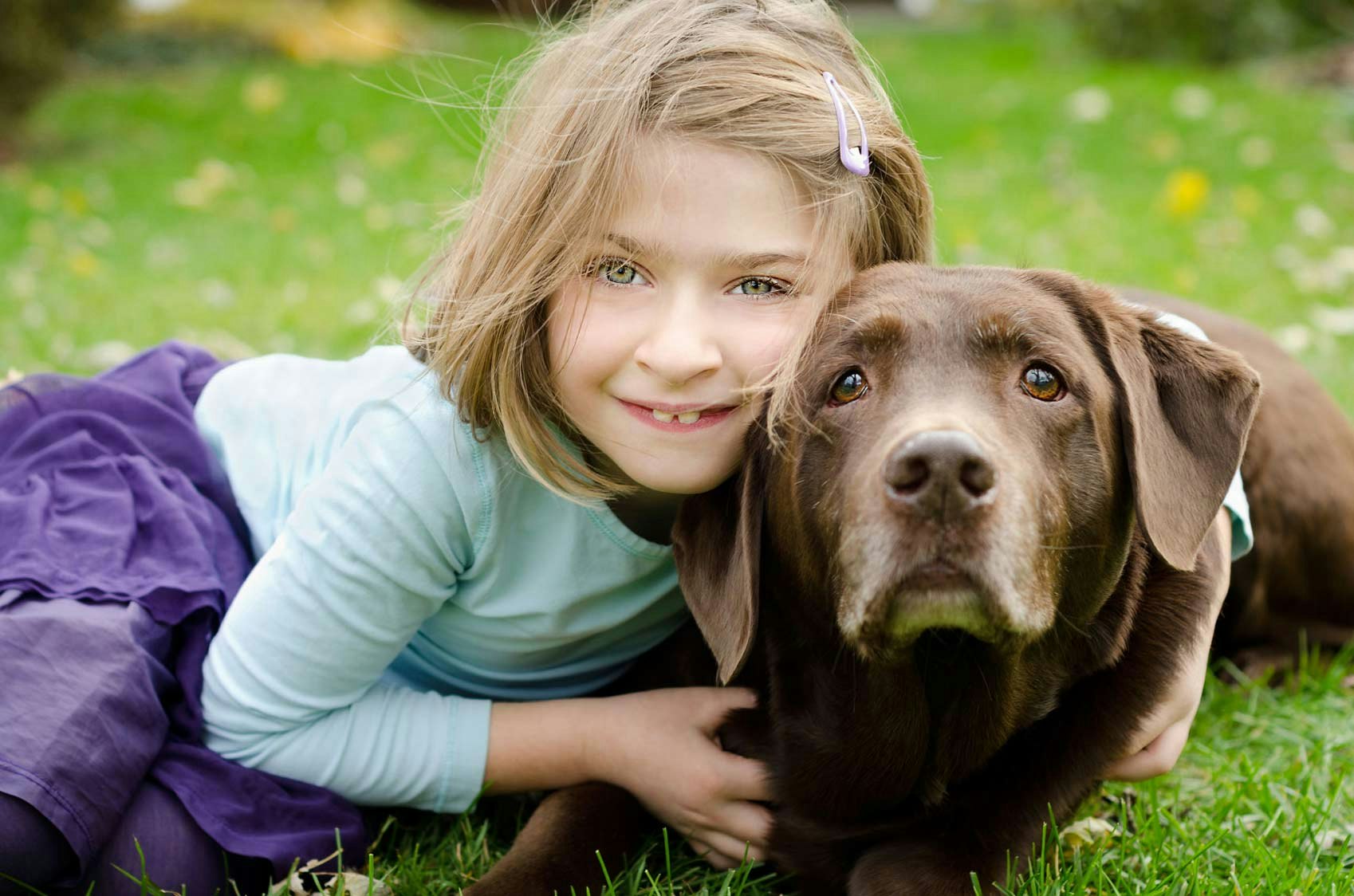 PawsLikeMe gallery image