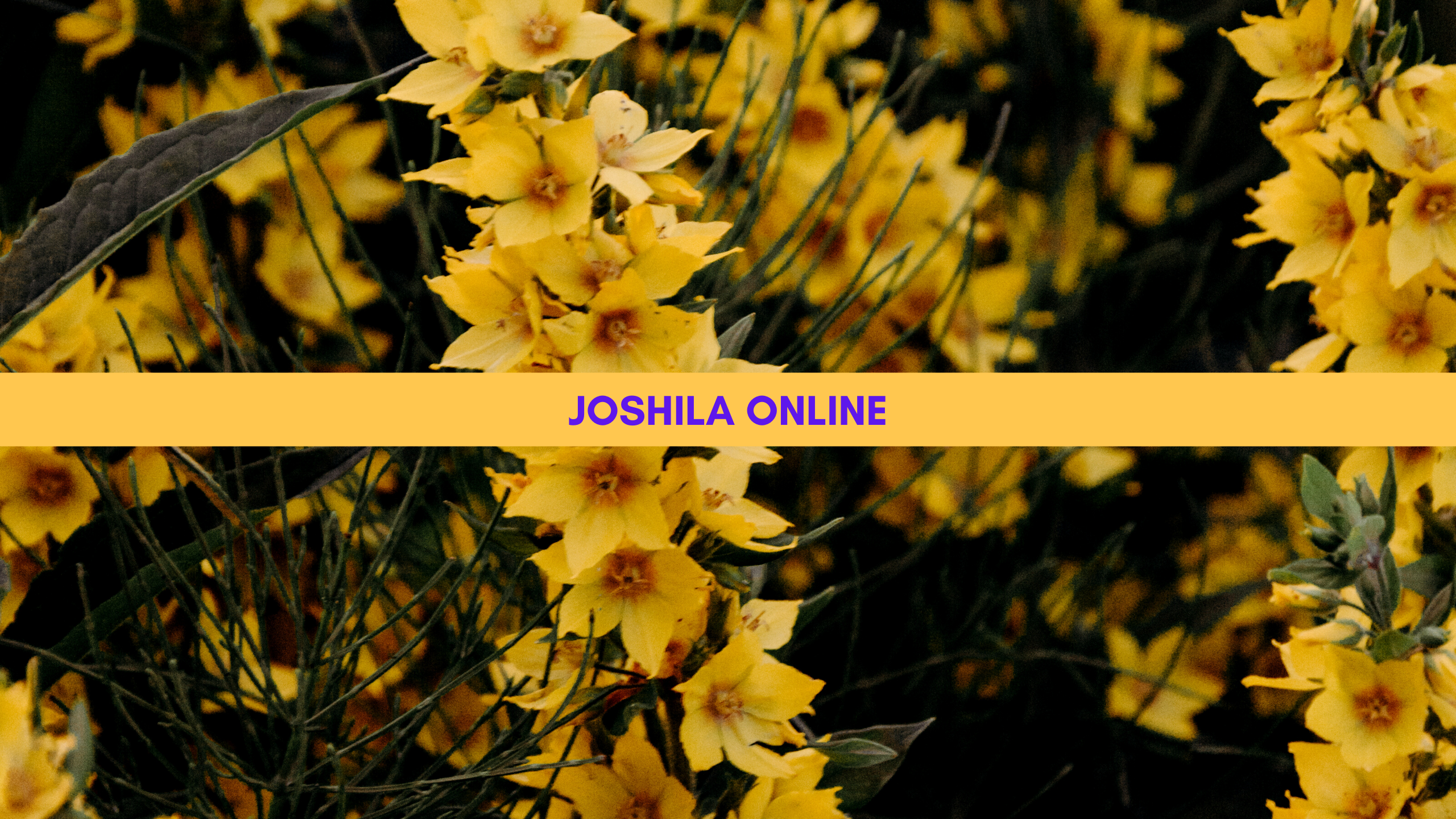 HR SERVICES gallery image