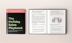 The Holiday Sales Playbook image