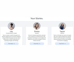 AllyChat gallery image