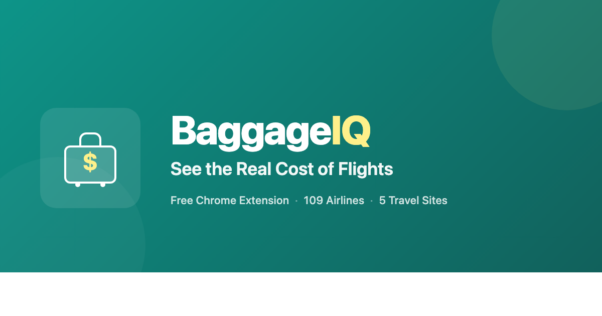 BaggageIQ gallery image