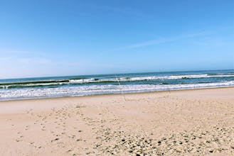 Cohubiting gallery image