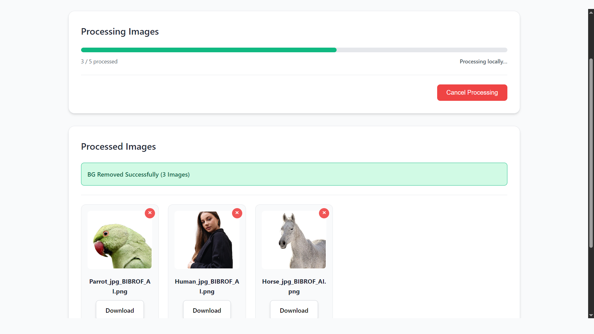 BIBROF AI gallery image