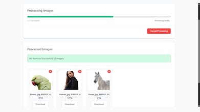 BIBROF AI gallery image