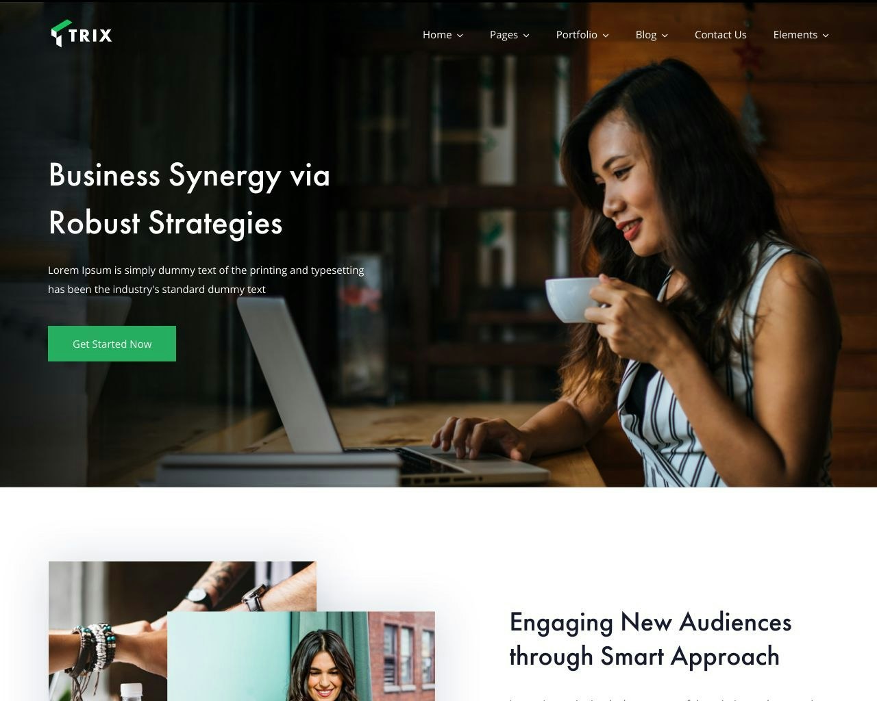 Create a premium website with wordpress gallery image