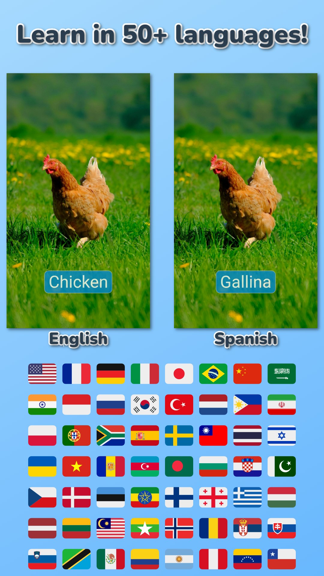 VocaLearn - Listen and learn gallery image