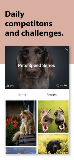 ViewBug gallery image