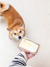 Ollie Pets 2.0 gallery image