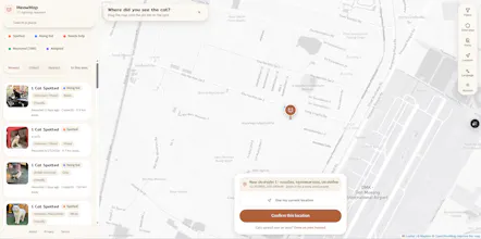 MeowMap gallery image