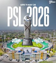 Cricket Fever gallery image