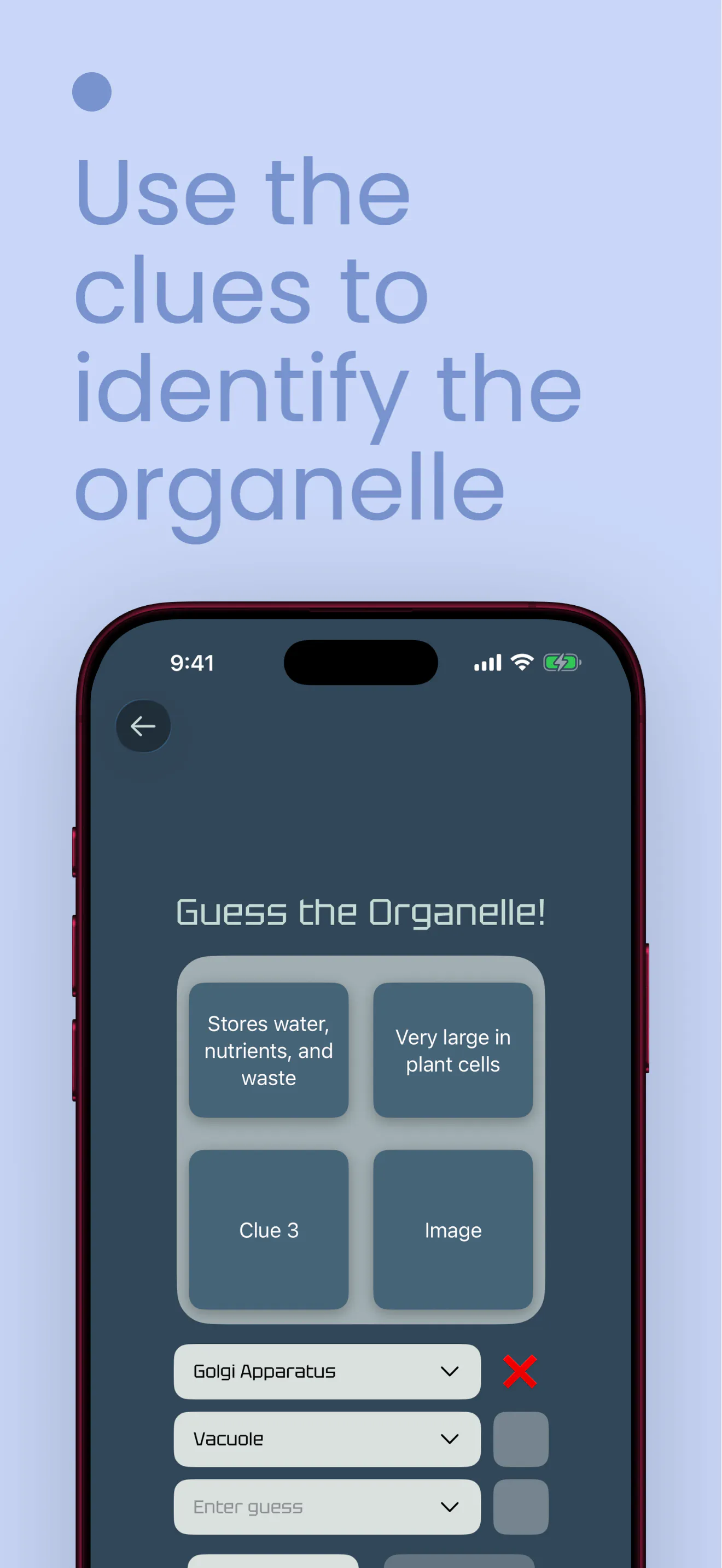 BioGuesser: Organelles gallery image