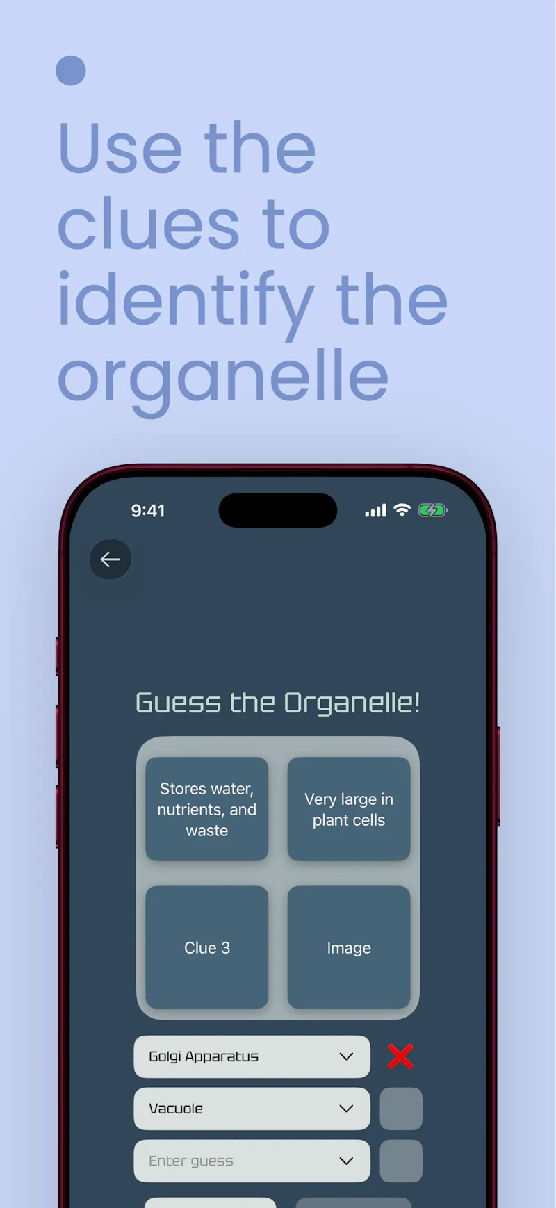 BioGuesser: Organelles screenshot 2