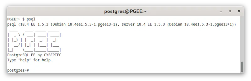 PostgreSQL Enterprise Edition (PGEE) screenshot 2