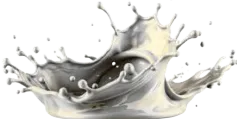 GOODGREED gallery image