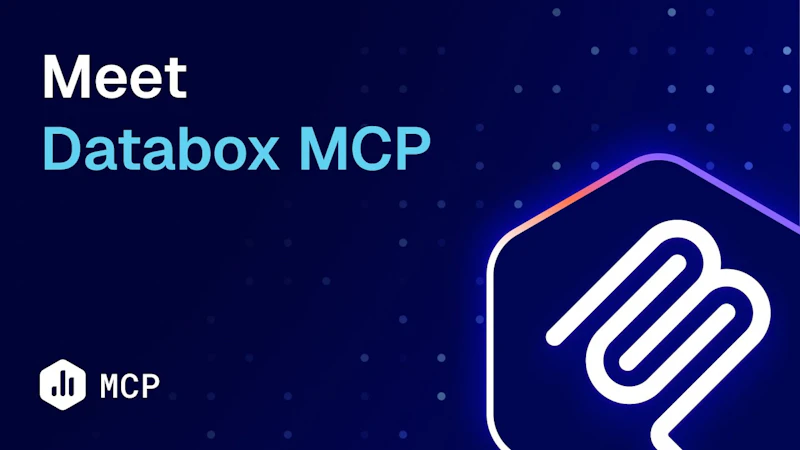Databox MCP screenshot 1 (video preview)