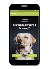 DOGZAM gallery image