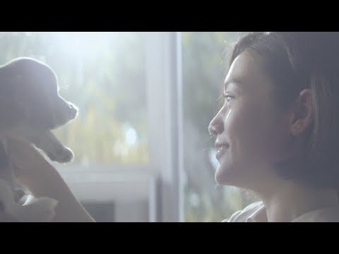 True Money gallery image