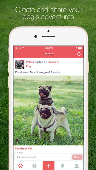 Wagtail gallery image