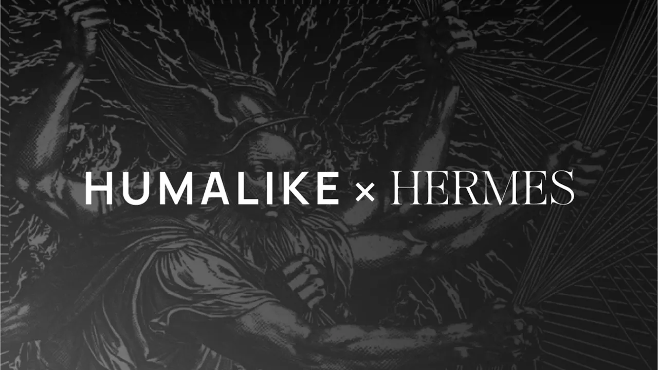 Humalike x Hermes gallery image