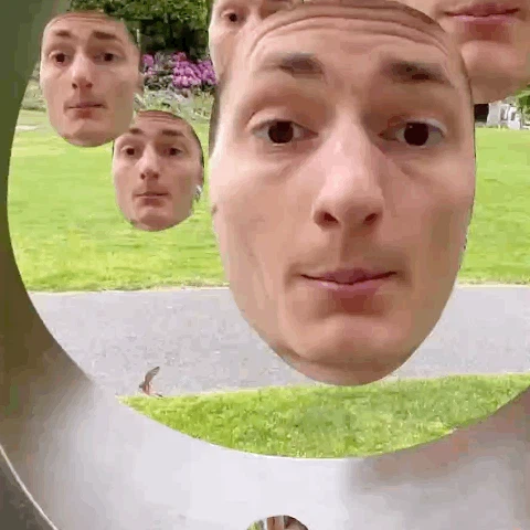 Face Drop AR