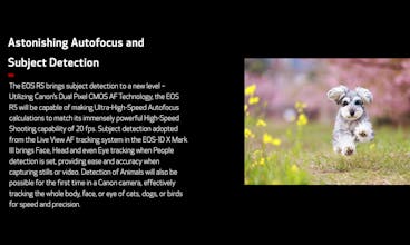 Canon EOS R5 gallery image