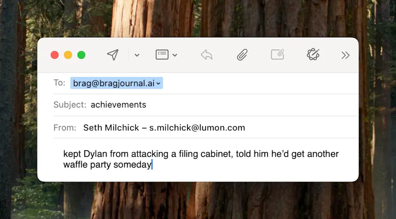 BragJournal.ai gallery image