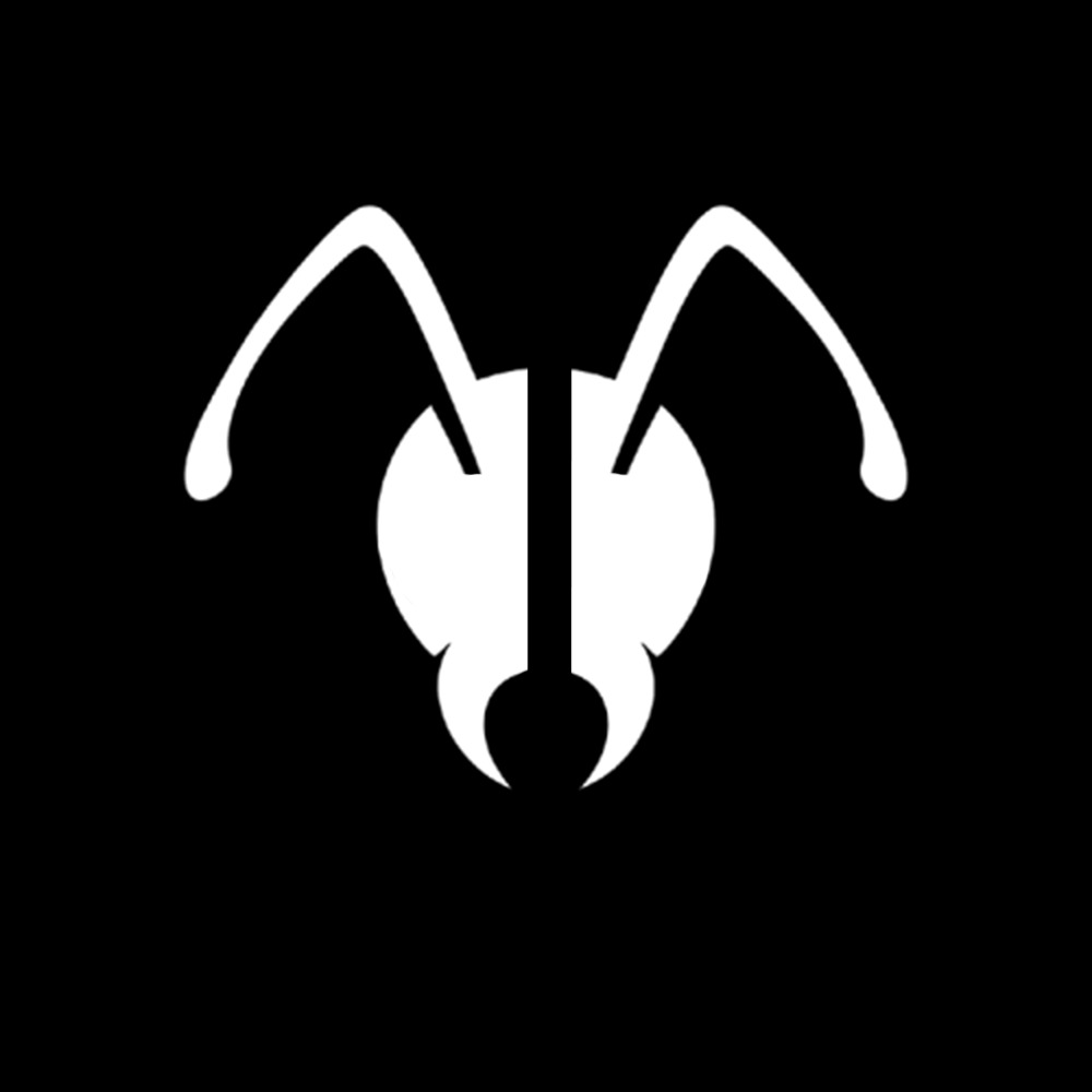 AnToAnt gallery image