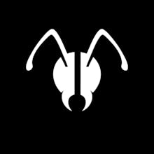 AnToAnt gallery image