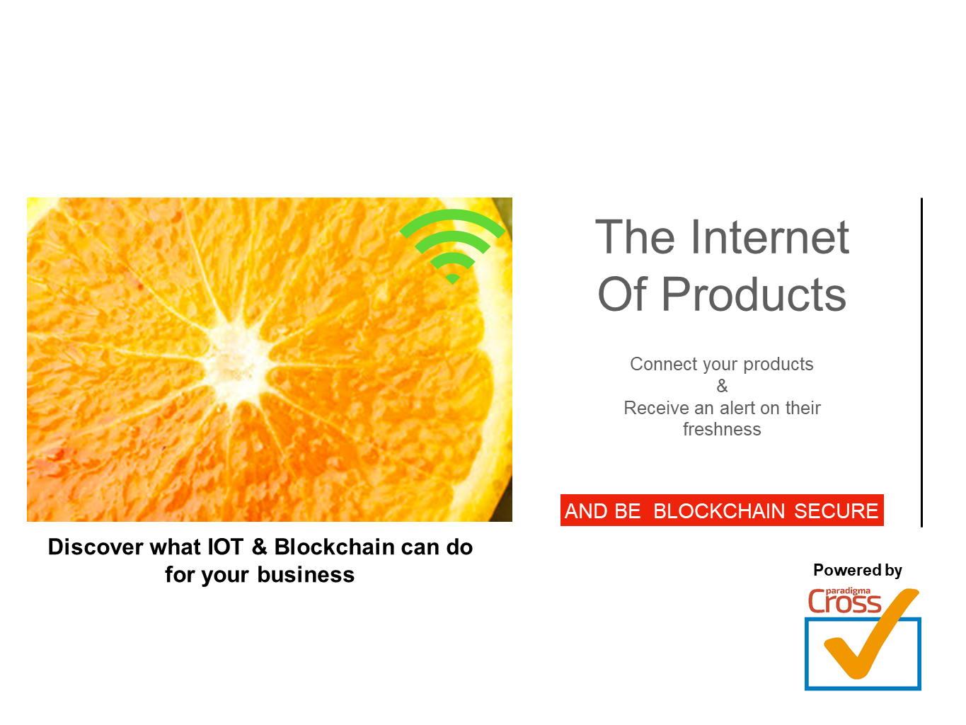 Paradigma CrossCheck gallery image